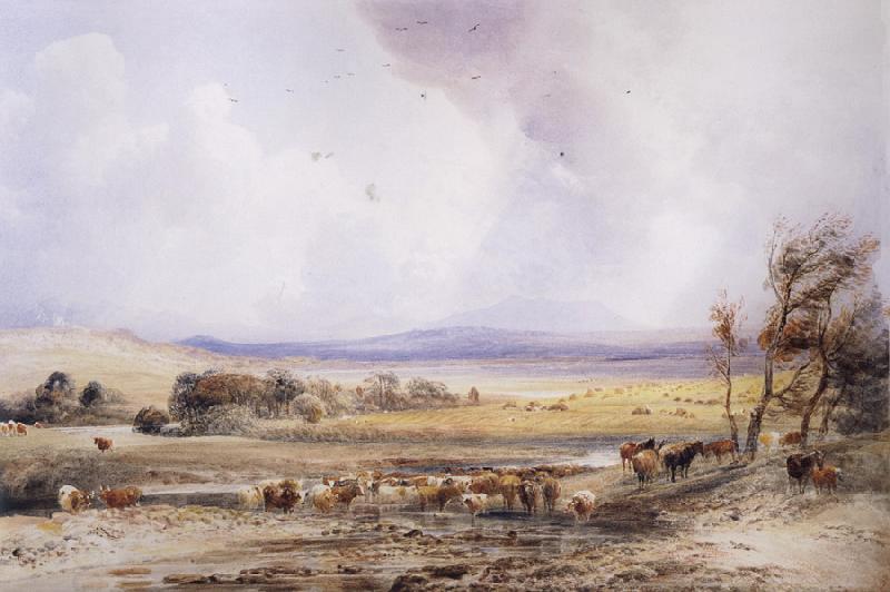 Peter Dewint View on the Lowther,with Cattle in the Water China oil painting art